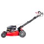 Газонокосилка бензиновая самоходная с двигателем FUBAG Honda FPL 56 SMH в Иркутске фото
